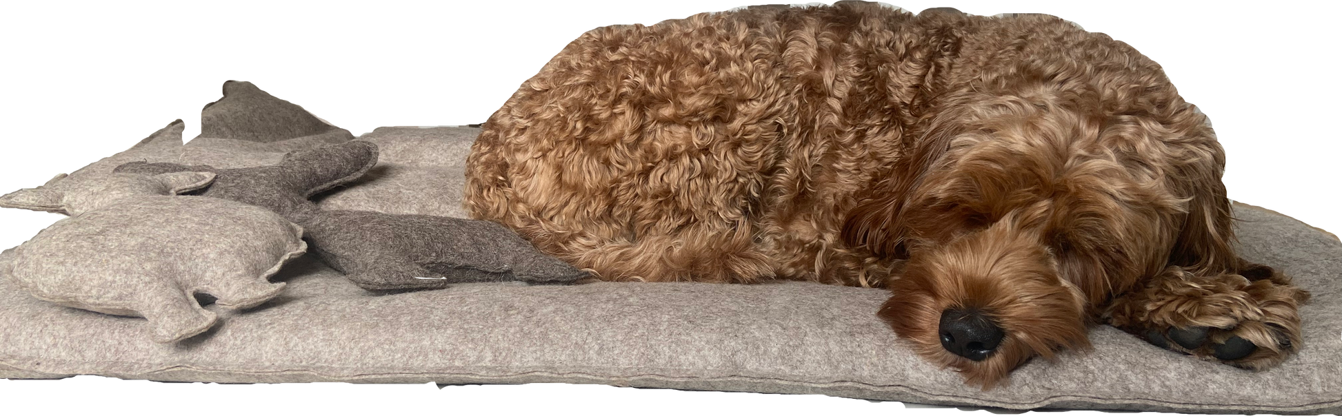 Hundekissen aus Naturwolle XL - Wollf im Schafspelz